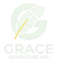 GraceFly