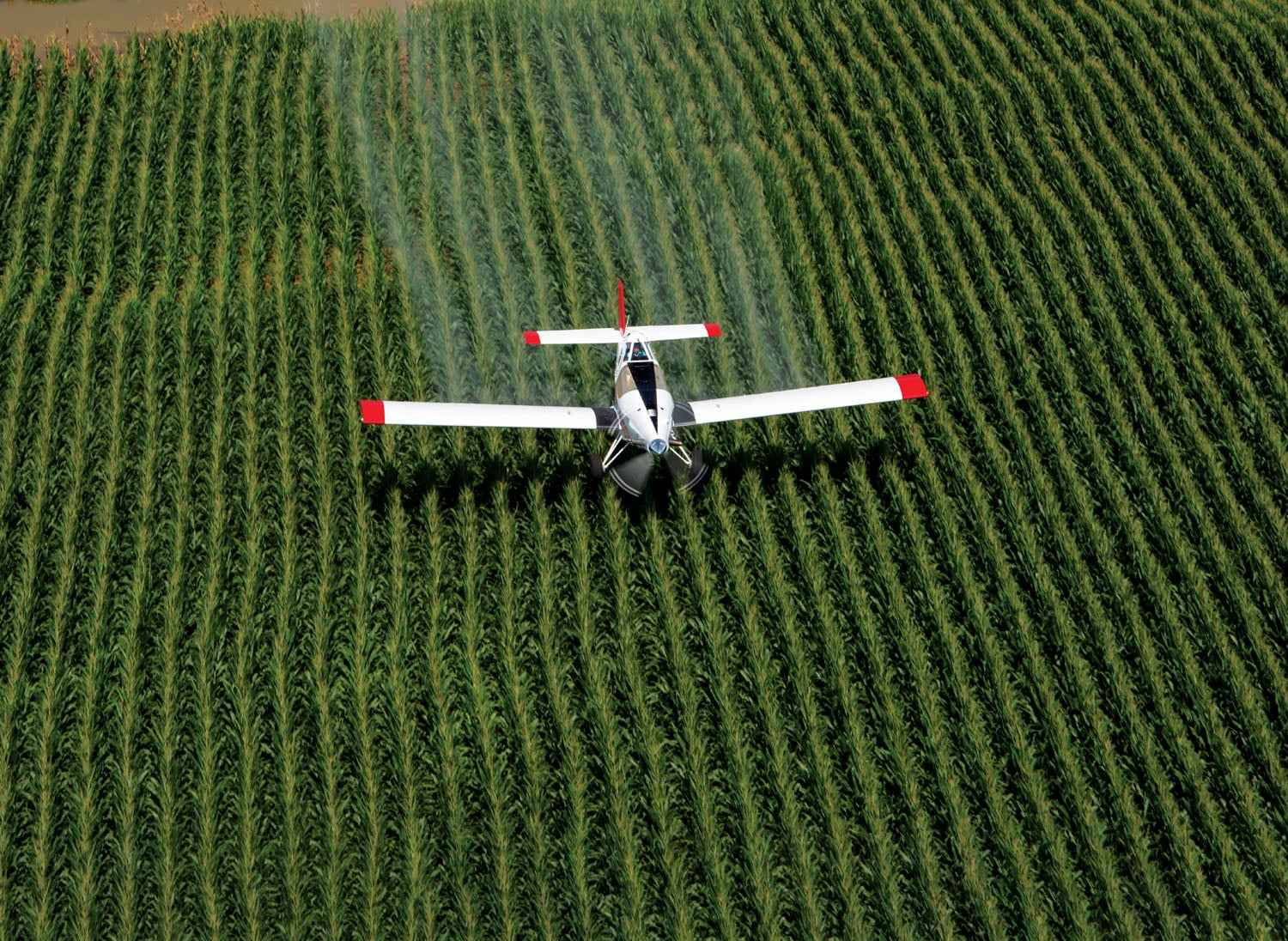 Avión agrícola en operación sobre un campo de cultivo